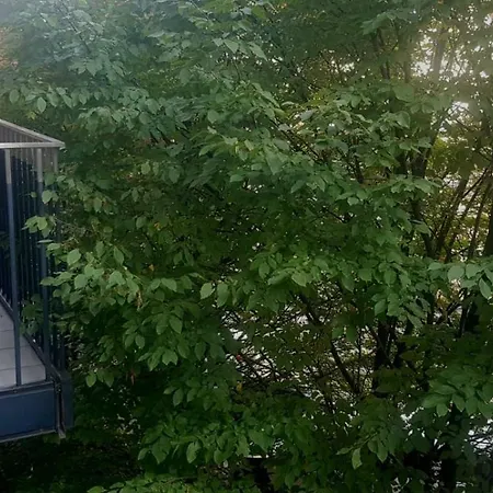 Luxury Prima Nowy Swiat Apartment